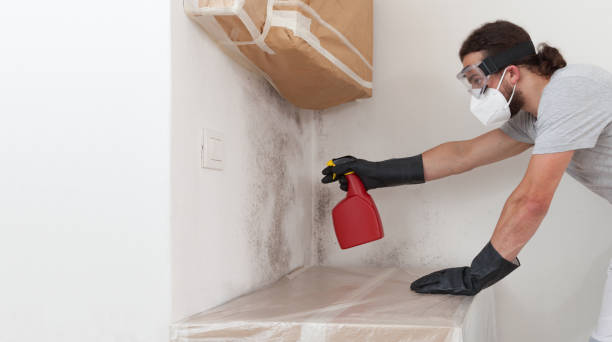 Professional Crawl Space Mold Remediation technician working in Littlestown, PA